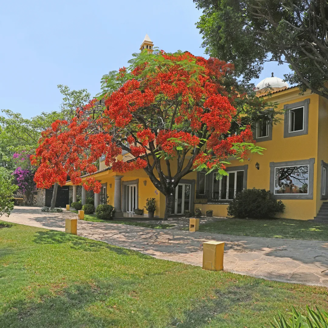 Departamento en Venta Jacarandas, Cuernavaca tipo LOFT