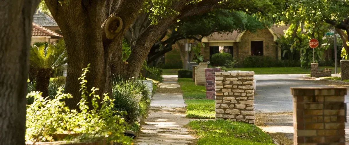 Peaceful neighborhood sidewalk lined with mature trees and landscaped lawns on a sunny day.