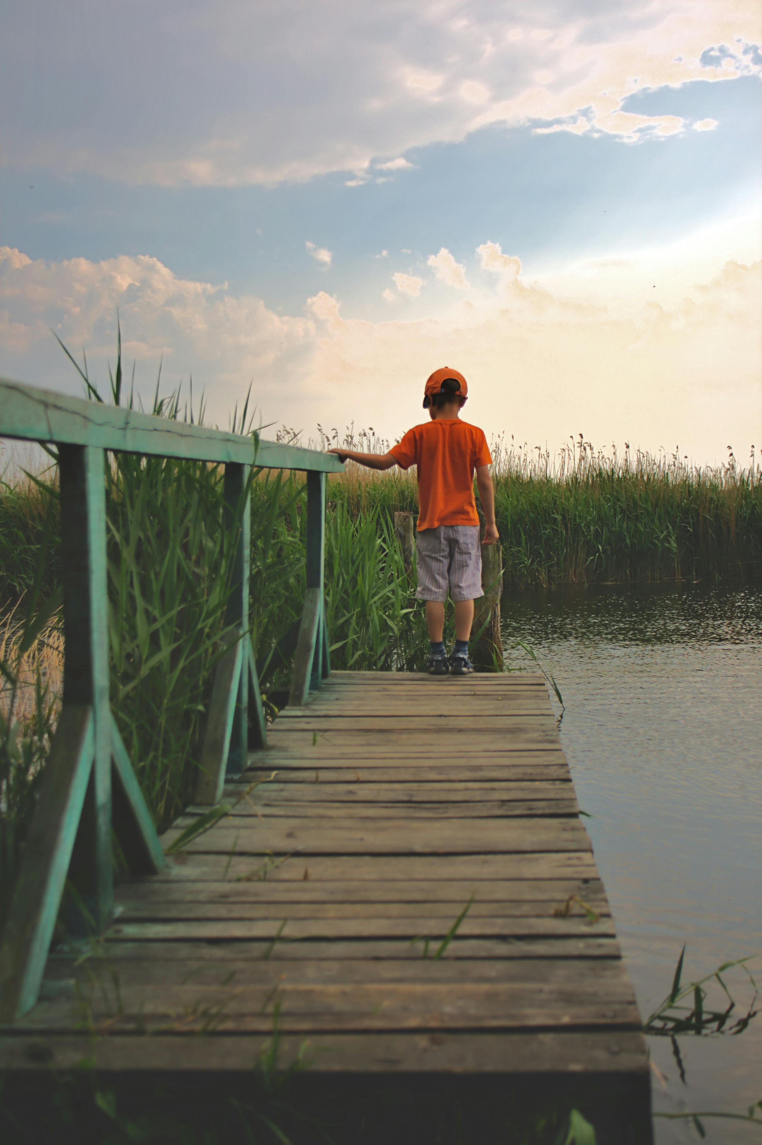 Il superiore interesse
