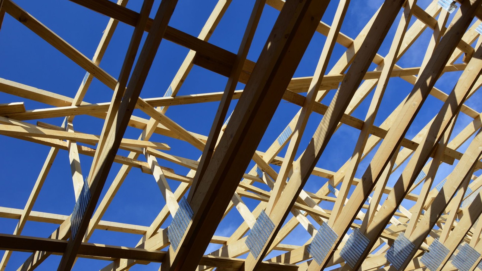 Hurricane-Rated From Day One: The Impact Windows, Tie-Downs, and Elevation Specs Behind a New Cape Coral Build