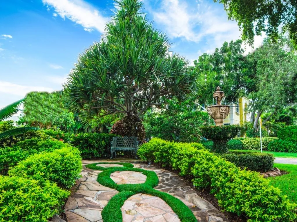 a body of water with trees and grass around it