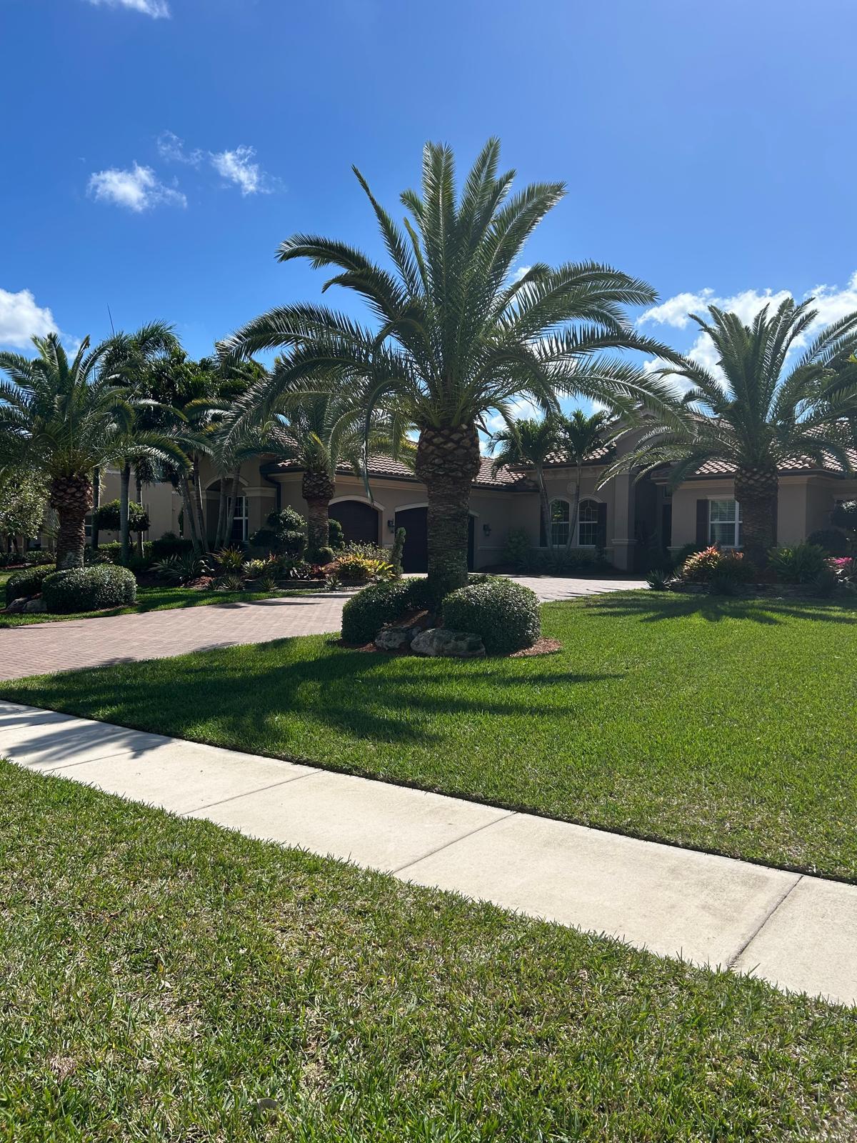 mountain reflection on body of water