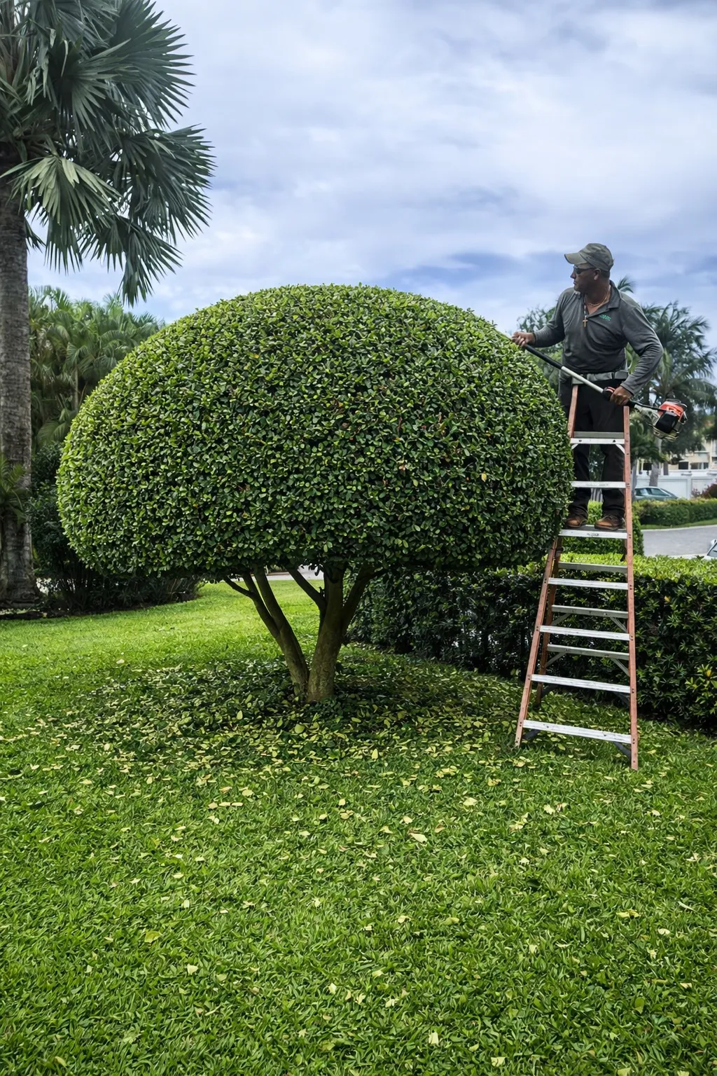 a lawnmower with a wheelbarrow and a red bucket