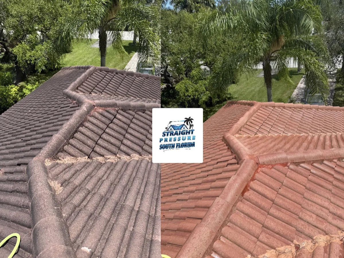 Before and after pressure roof cleaning service in South Florida. Tile roof cleaning removing black streaks and mold.