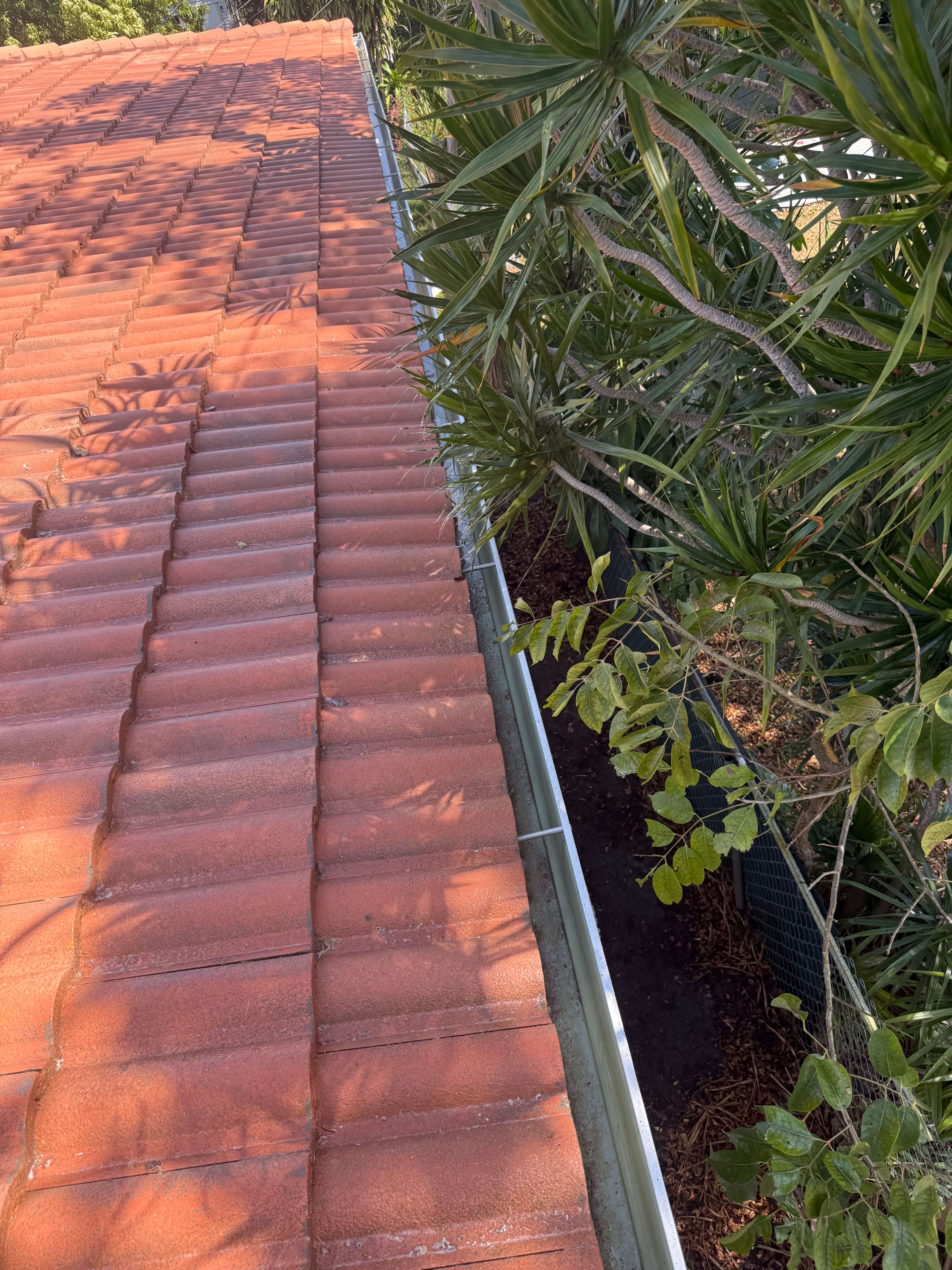Before and after leaf removal and rain gutter cleaning in South Florida.