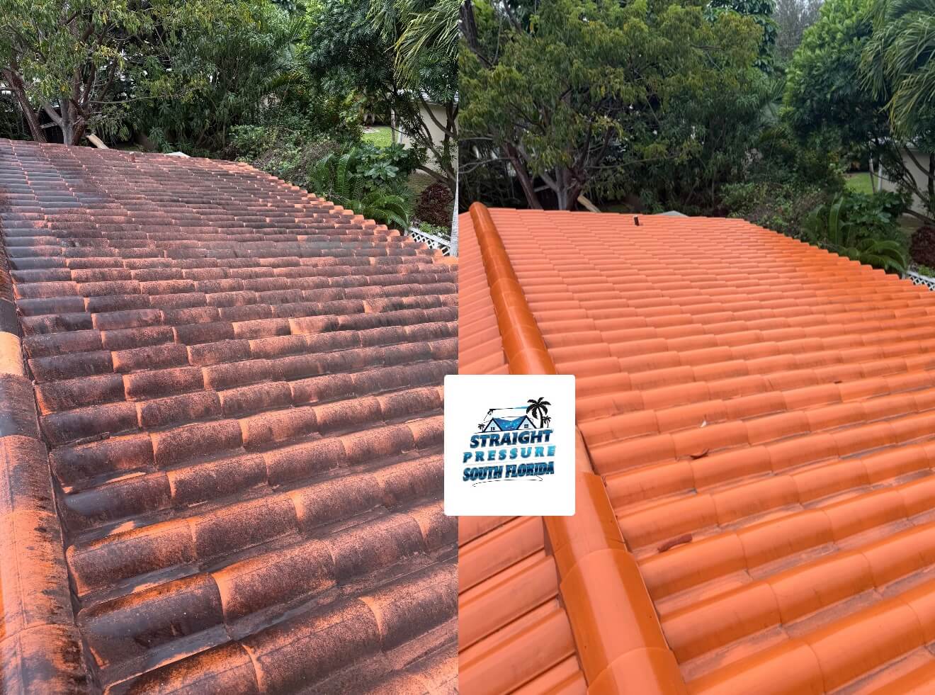 Before and after soft wash roof cleaning and tile roof washing in Kendall
