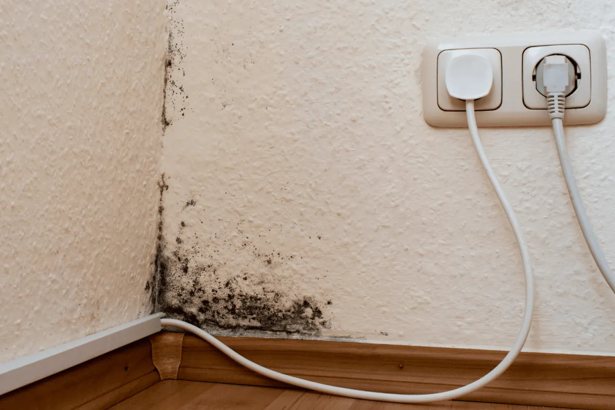 Fast, Reliable Response