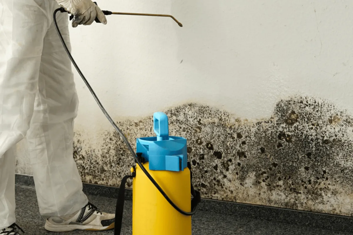 Why Choose ABC Environmental Contracting Services