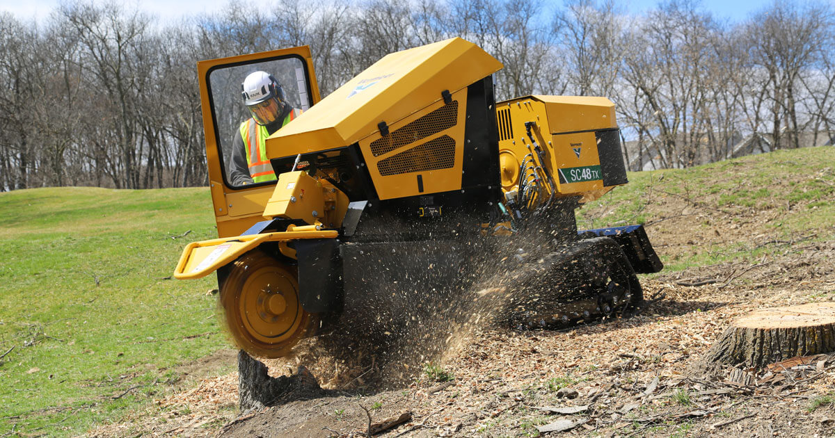 Is Stump Grinding Better Than Stump Removal?