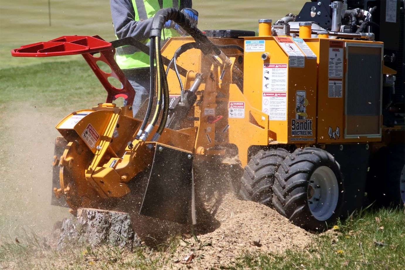 Does Insurance Cover Emergency Stump Grinding?