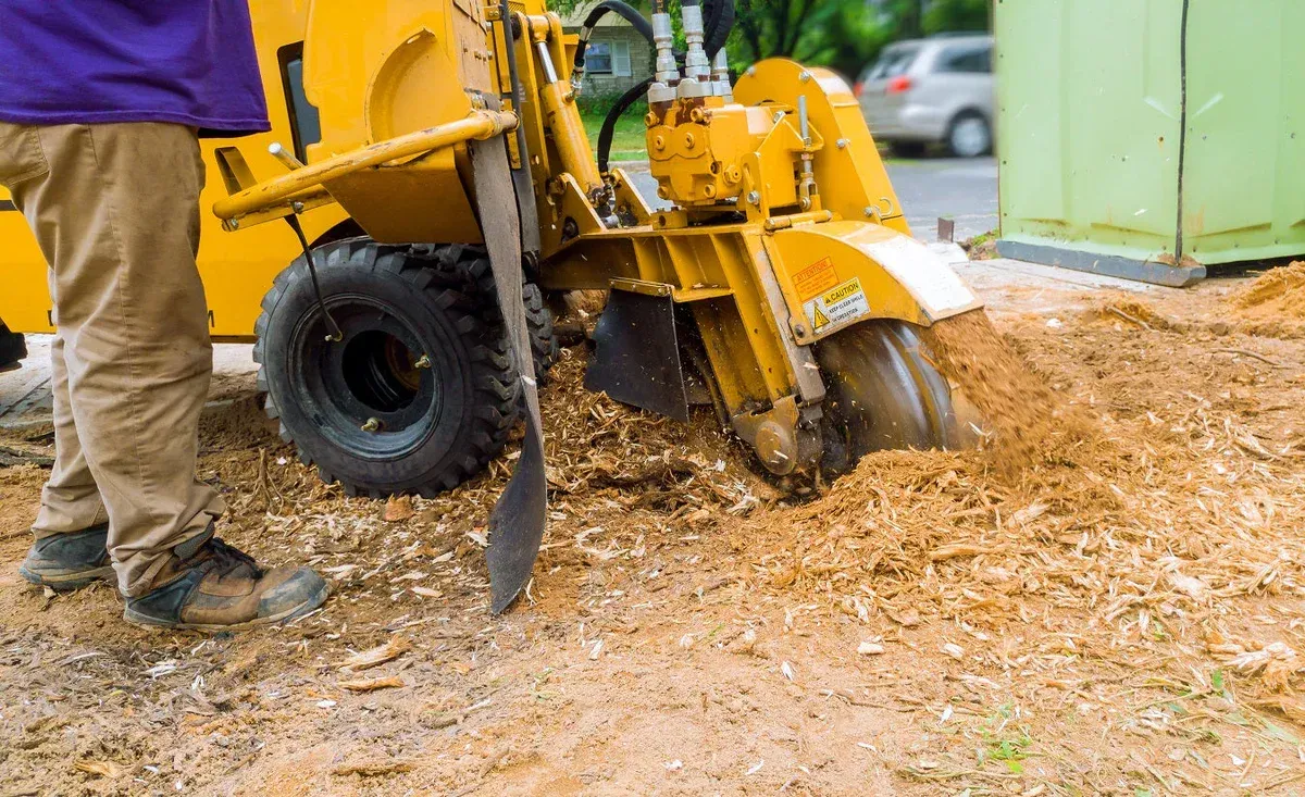 A Company Focused on Reliable Stump Grinding Services