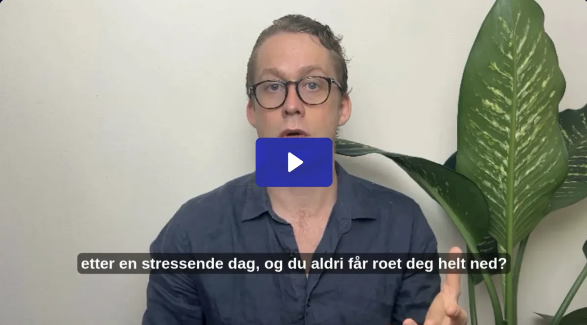 Bilde av videoen med link til video.