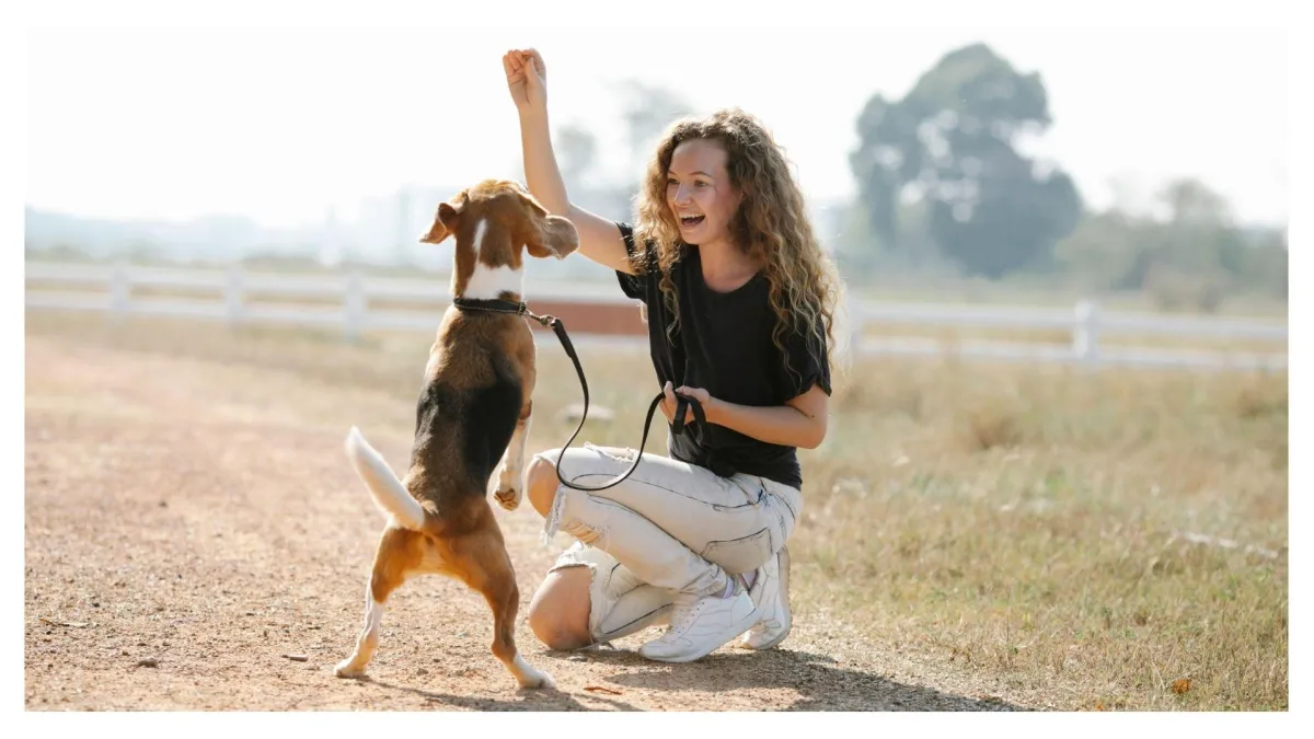 Anita's dog training - MY DOGIE CORNER