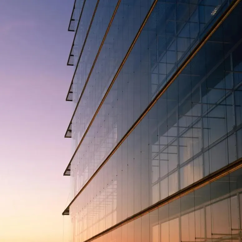 kyler tinting window