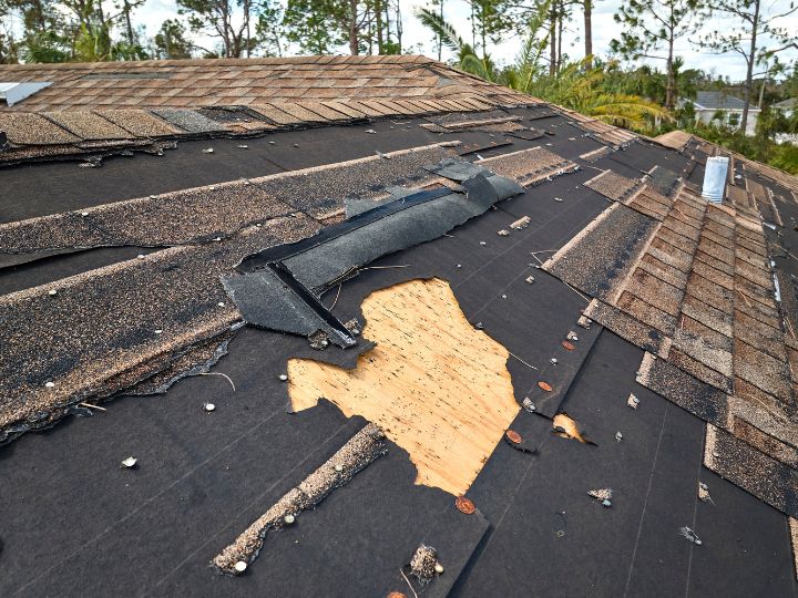 What to Do After a Storm: A Northern Virginia Homeowner's Guide
