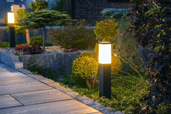 Fall Yard Projects