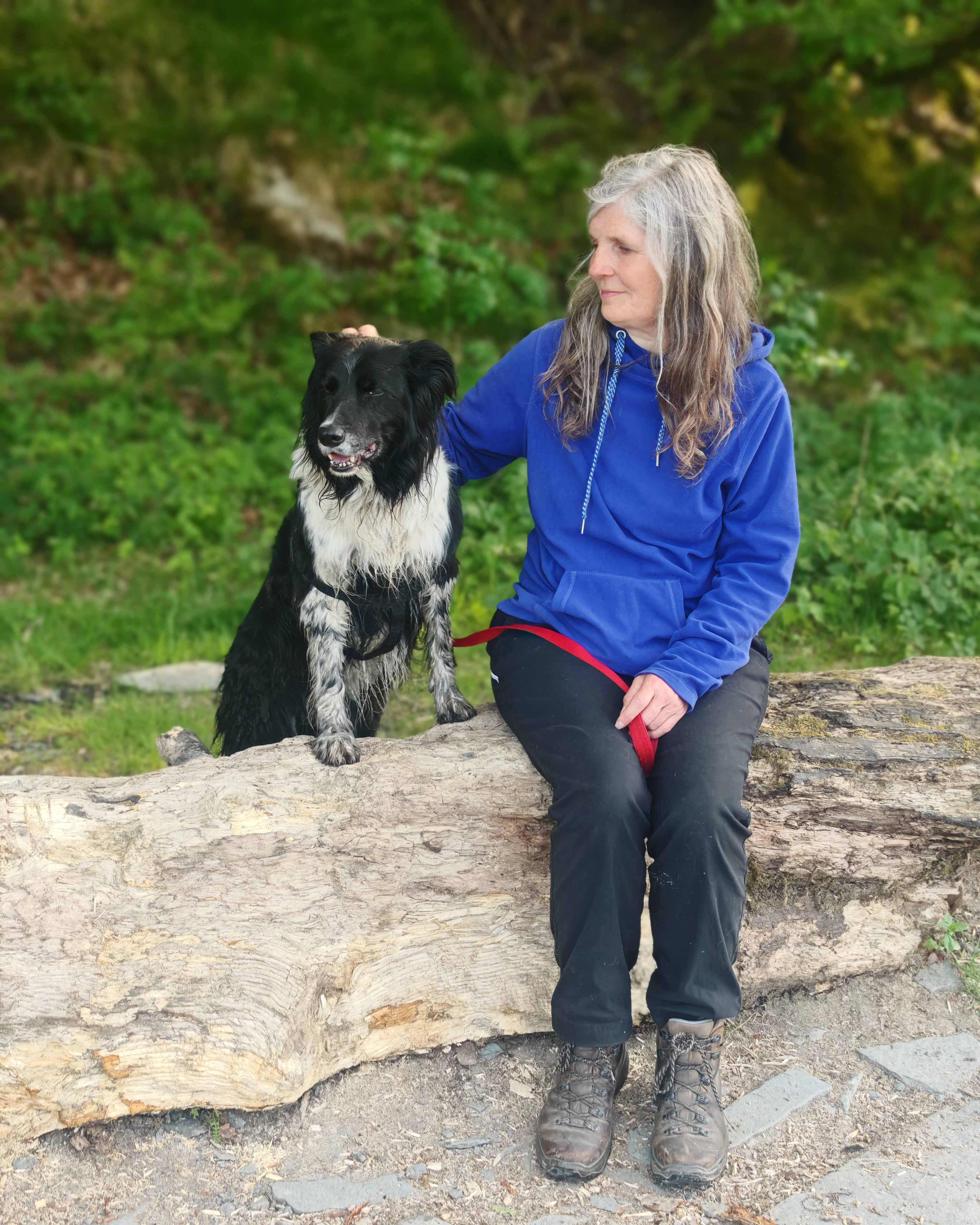 Jo Brown burnout coach with her dog itting quietly in woodland Scotland