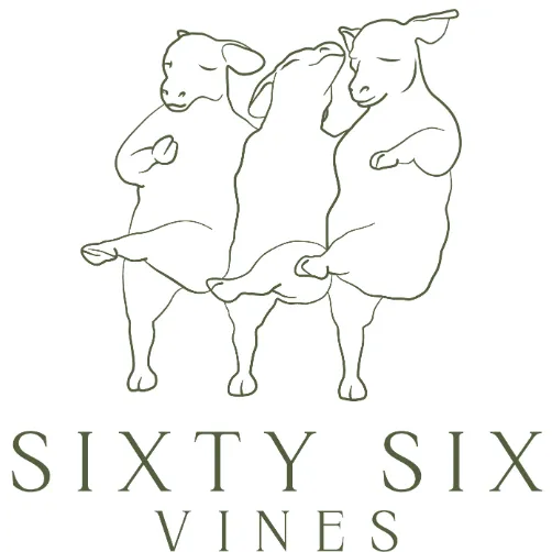Sixty Six Vines