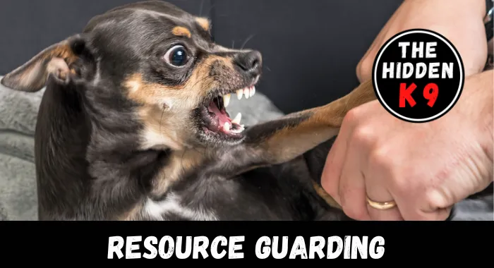 The Hidden K9 - Resource Guarding