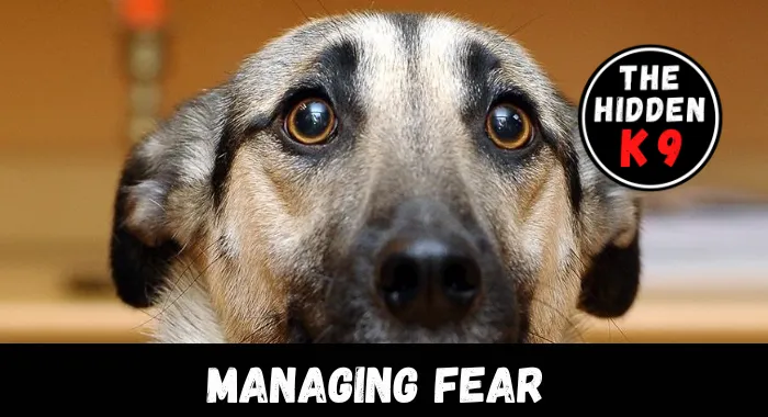 The Hidden K9 Managing Fear