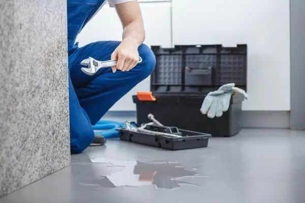 Slab Leak Detection repair in Trace Crossings home