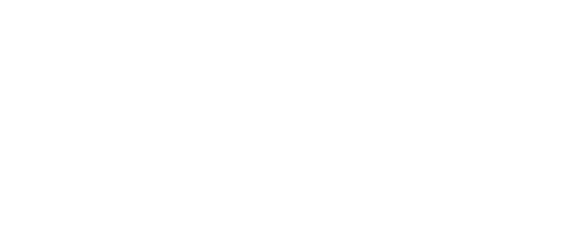 Shahir Mekawi Performance