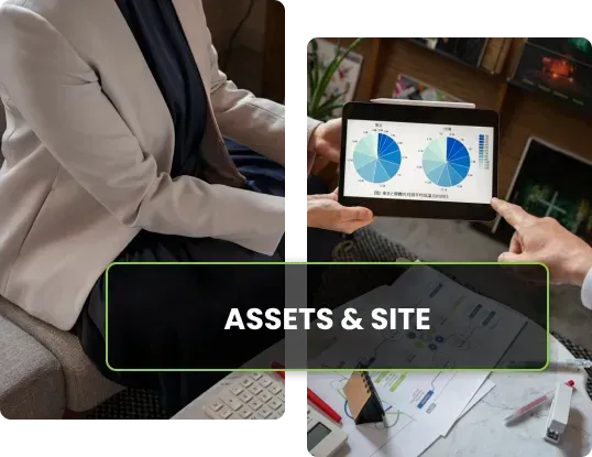 Assets & Site 