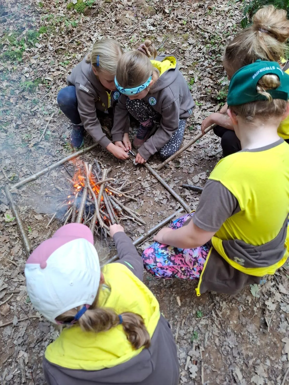 Beneficiaries Chiddingfold Brownies