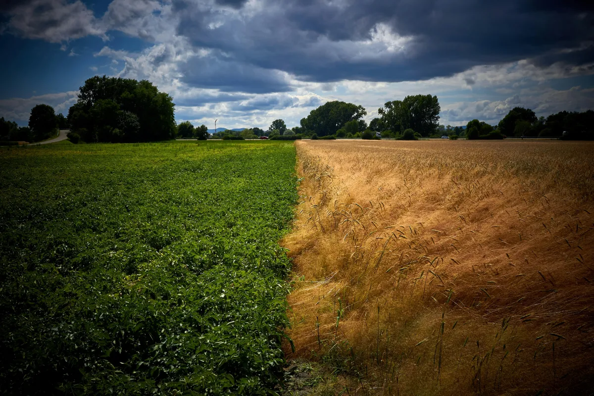 2 environments