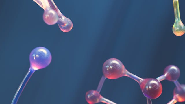 A Case Study of ISO 13485 Transition Support