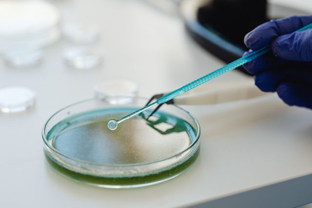 Upskilling Your Biotech Team