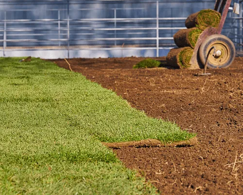 Seasonal Cleanups & Debris Removal Vaughan