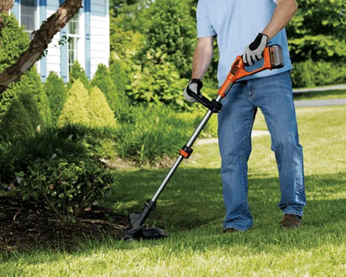 {{ custom_values.service_1 }} in {{custom_values.biz_area_1})