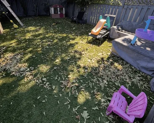 Sod Installation Vaughan