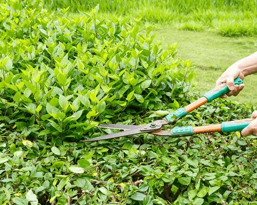 Sod Installation in Vaughan