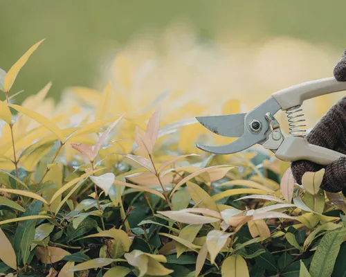 Junk Removal Vaughan