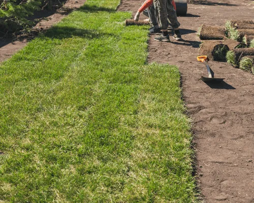 Sod Installation in Vaughan