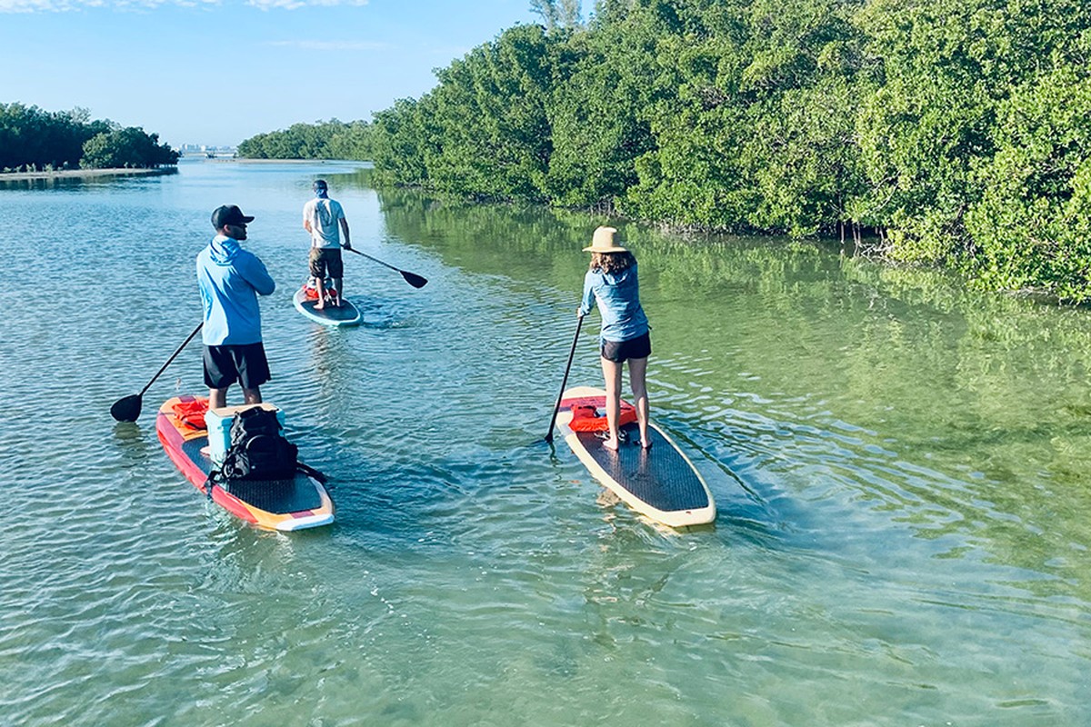 a group of people riding kayaks on top of a river