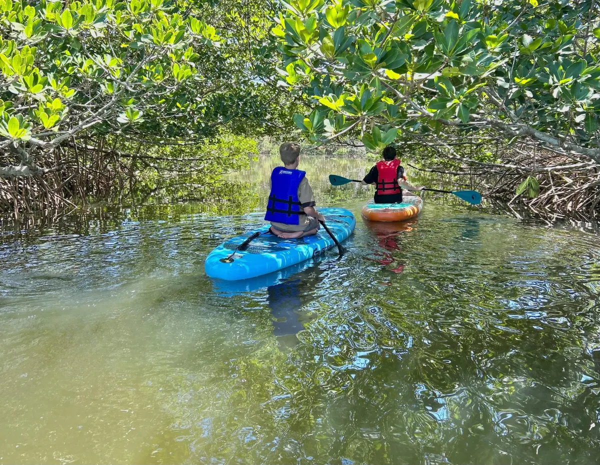 a group of people riding kayaks on top of a river