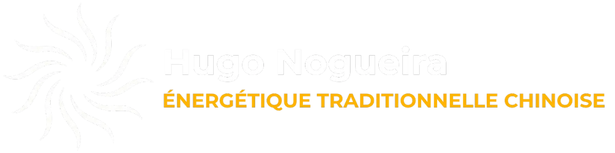 Hugo Nogueira Praticien en Energétique Traditionnelle Chinoise