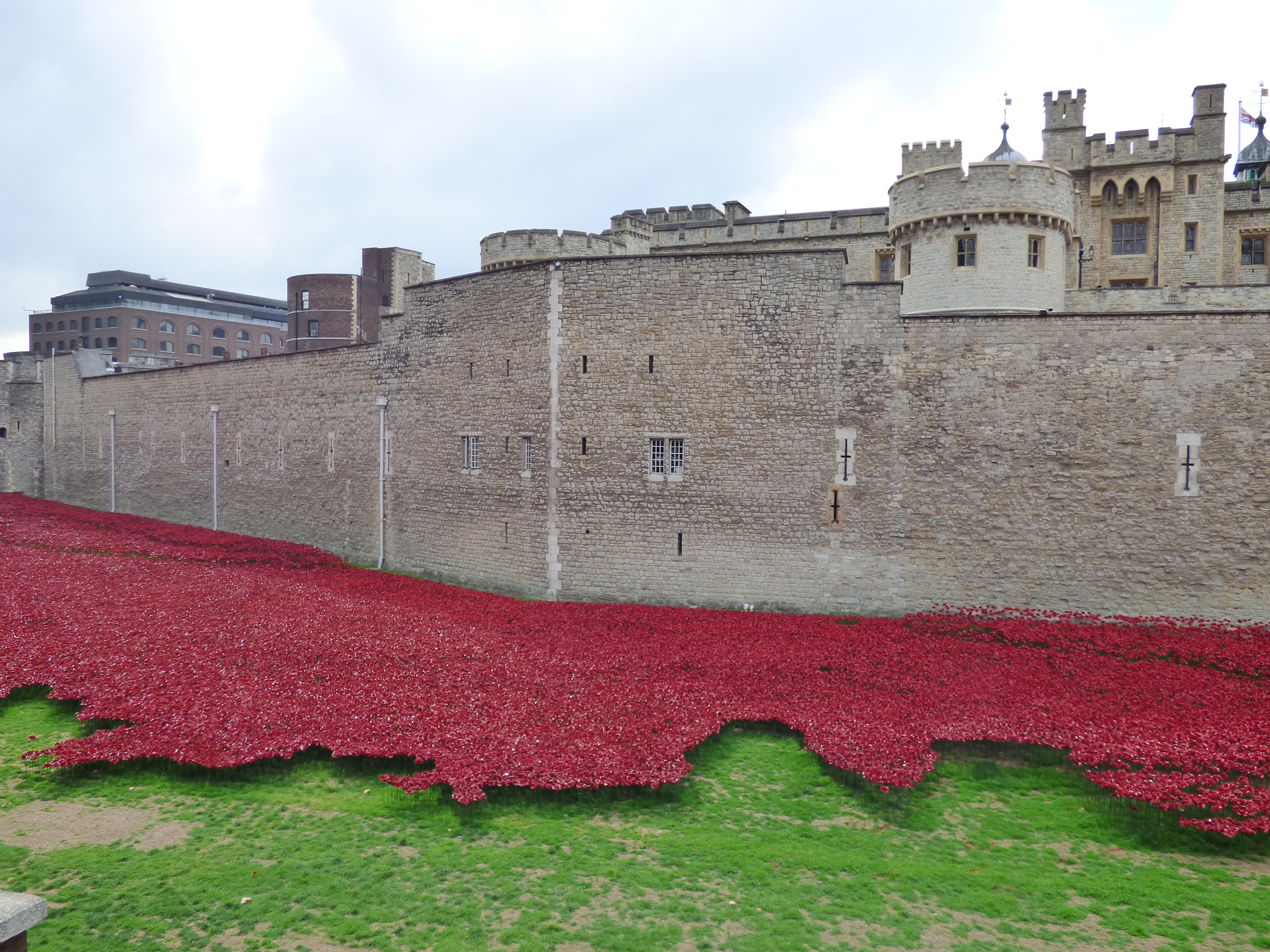 Ceramic poppies installation at the Tower of London commemorating World War I casualties, with thousands of red flowers filling the moat