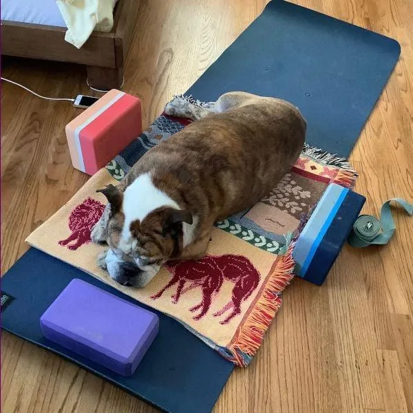 Day 5: Integration of Your Body: Moving Beyond Effort