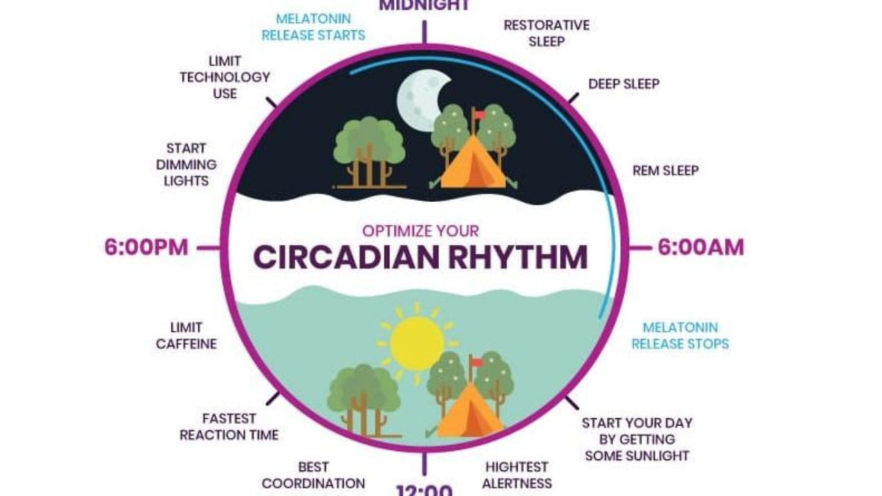 The Beginners Guide To Getting In Tune With Your Circadian Rhythms