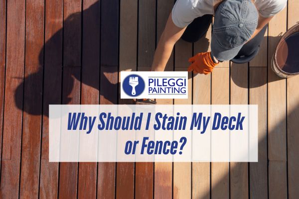 Why Should I Stain My Deck or Fence?