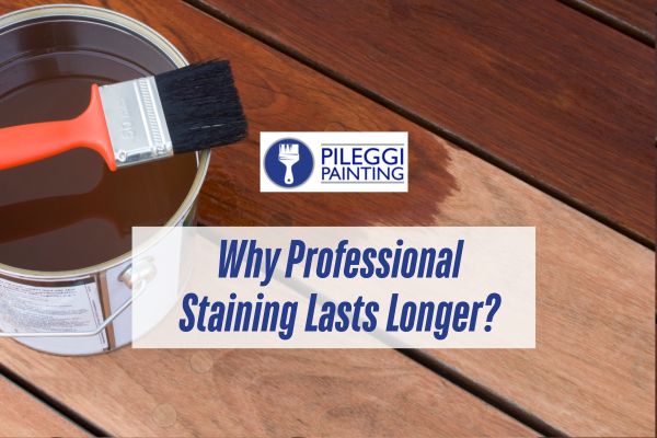 Why Professional Staining Lasts Longer Blog Post