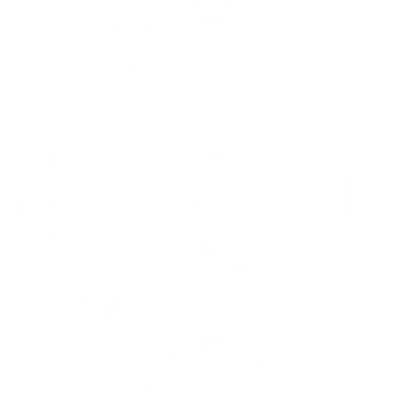 Center for Self Governance Logo