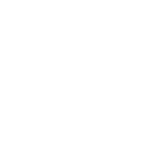 Zambrano Insurance Group