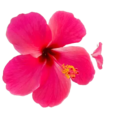 Sicher fühlen und neue Kraft schöpfen, auch wen Berührung erst Angst macht