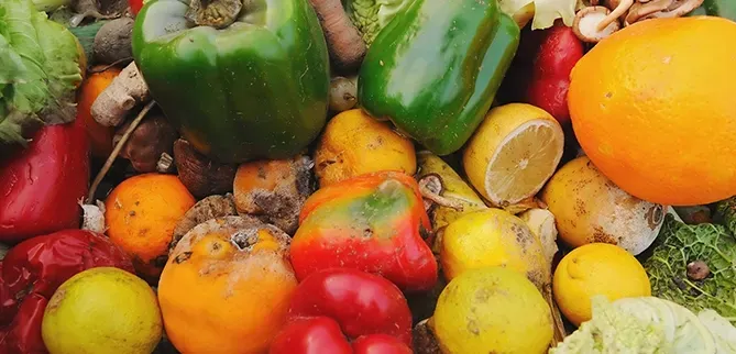 Image of mould fruit and vegetables