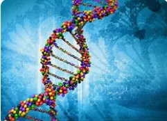Why does DNA matter in Nutrition?